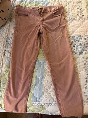 American eagle mauve jeggings size 12r